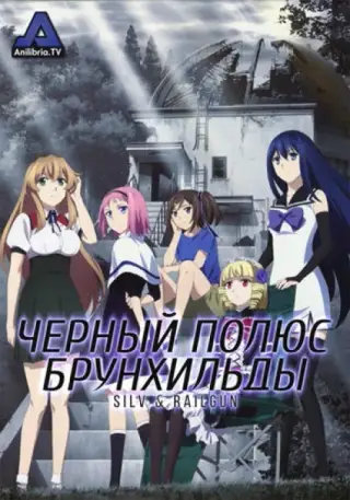 Обложка: Черный полюс Брунхильды