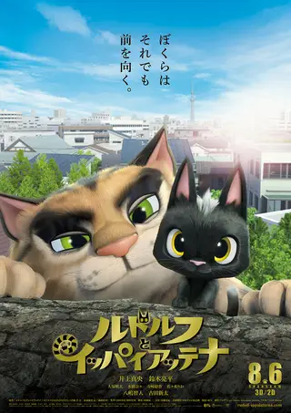 Обложка: Жил-был кот
